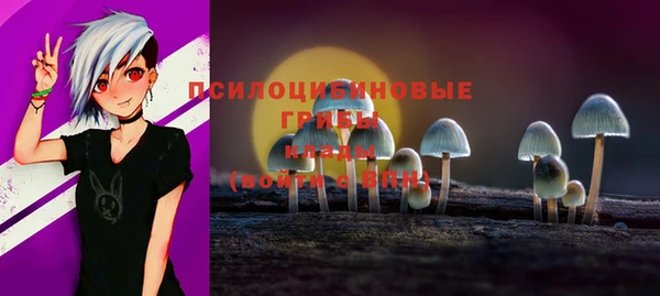 mix Алексин