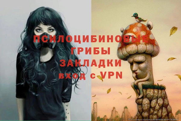 трава Алзамай