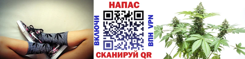 купить   mega ССЫЛКА  Каннабис ГИДРОПОН  Невьянск 
